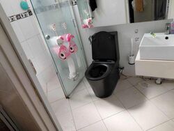 Blk 466D Spring Lodge (Sembawang), HDB 4 Rooms #499795251